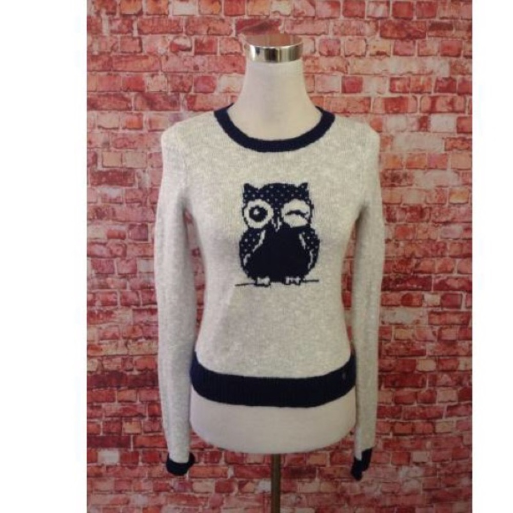 Abercrombie owl sweater